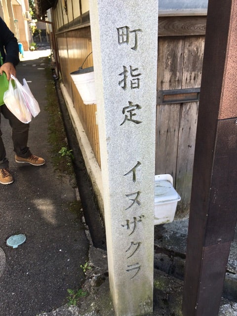 {9B14E52D-D23D-41AE-A15A-7D1A1BDE7E5A}