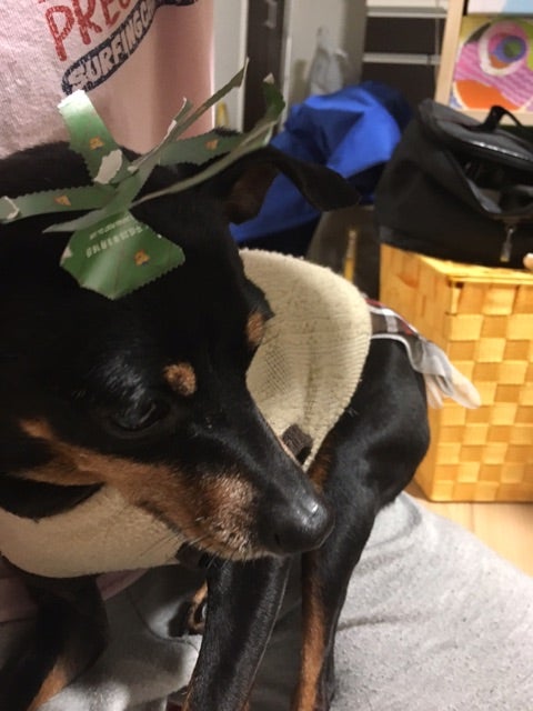 {D864CF8F-A781-472F-BF02-FEDF3FC7188F}