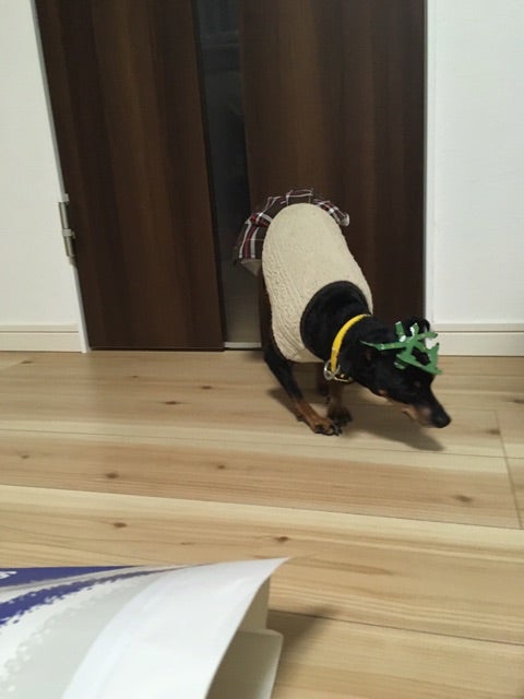 {EAEA9F29-9402-4C17-A25B-E3E323225200}