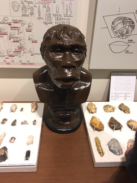 {1AA9A53F-36FB-43AC-9613-C61DEE1C5436}