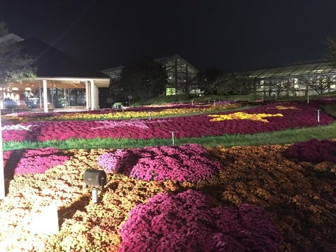 {293FDADF-D76E-4855-B842-8220AD40A64B}