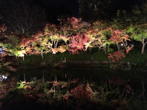 {8210D430-25FB-4E96-806E-D89A1825B129}