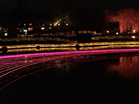 イルミネーション