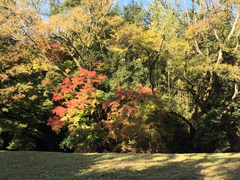 {85E0EC72-4FE3-4FDC-99E9-B8F3B16A3BE7}