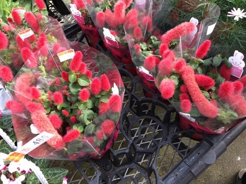 {9727C47B-7E32-42F0-BA76-5E127C266DF0}