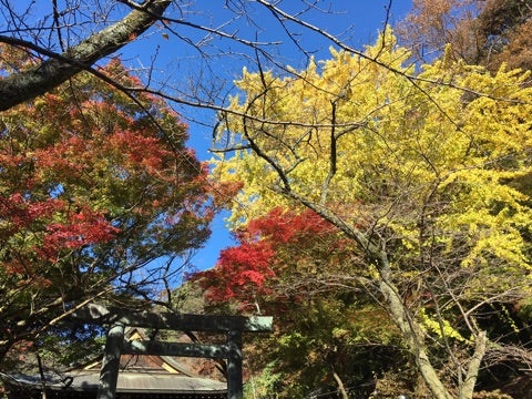 {F98FFDEA-3CFB-4919-9404-94C5F80FDB66}