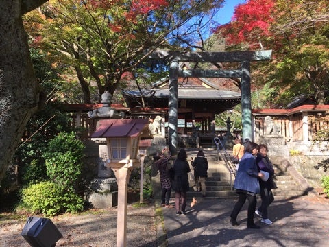 {53E3DBF7-8683-4CBB-B207-9CC7B49C811A}