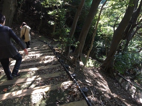 {61A5456A-82A4-4A92-86DA-4D44924770B0}