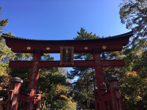 {B65180CF-3862-4F11-93CF-8FEB6DBE532C}