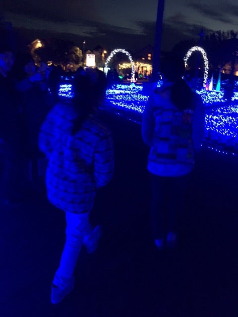 {00CAA070-C5C8-447F-B4F9-FA4C270C2C3C}