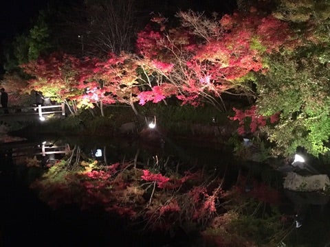 {8AE3E5C1-4FF5-461B-88EA-0833C129D601}