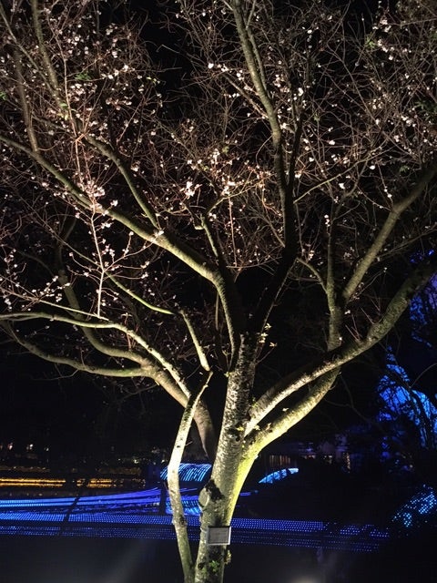 {EC3F37DA-58FD-4DEE-8DC7-95F7E4763220}