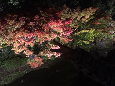 {490EC4D5-D5A5-4C35-9392-9FD848103653}