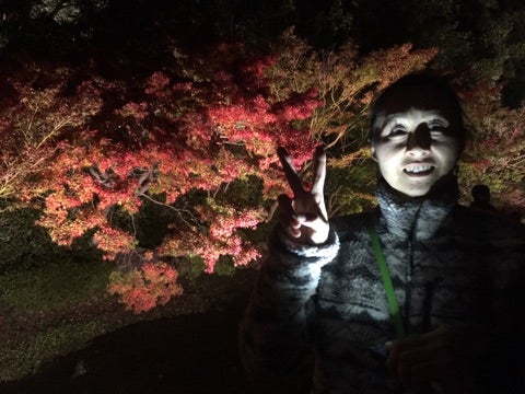 {D8279B6D-934E-489E-8E02-DB766168D900}