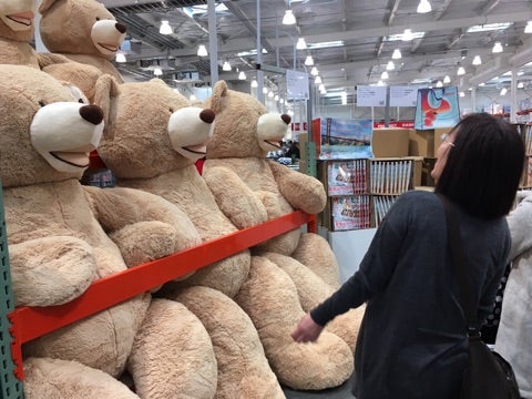 {8E2881AB-C227-4AF9-B678-73AFF99CA8DF}