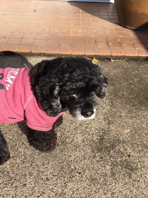 {C6F61B38-217E-4DA3-A4C8-C8856109149D}