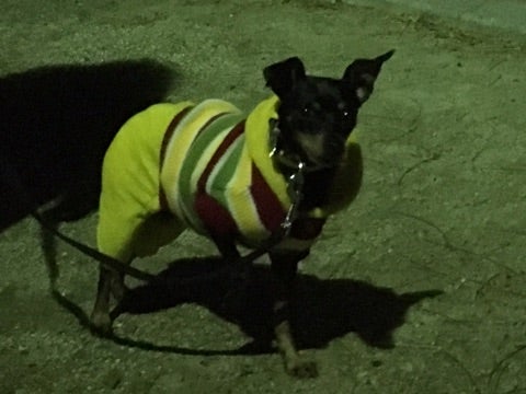 {CA035EC2-3134-4DC6-8B95-A71F11D716B2}