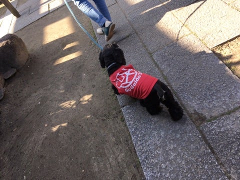 {A2D4F04A-A75D-43A8-9C5C-46B3477FF8C9}