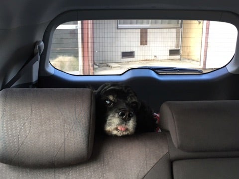 {A938253D-F16E-4617-A171-2829EA23C858}