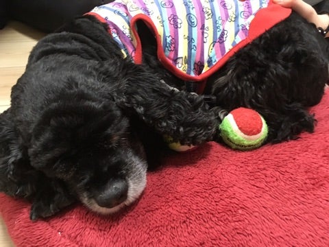 {D384EA42-4306-43E8-8A2F-4D8A19B25591}