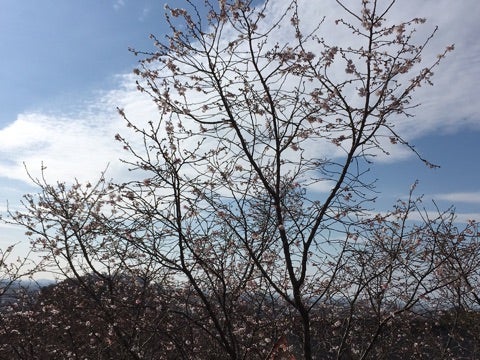 {ACCDDB97-B19D-41A8-BFC9-A7196E47E179}