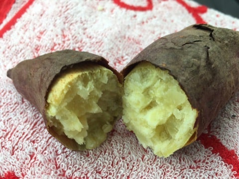 {D7BCF108-AAF6-412A-806A-370382FD0AD6}