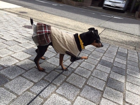 {6C5289F5-7088-4A01-BDB9-6F1526874401}