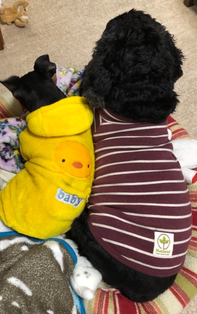 楽しい仲間とご飯