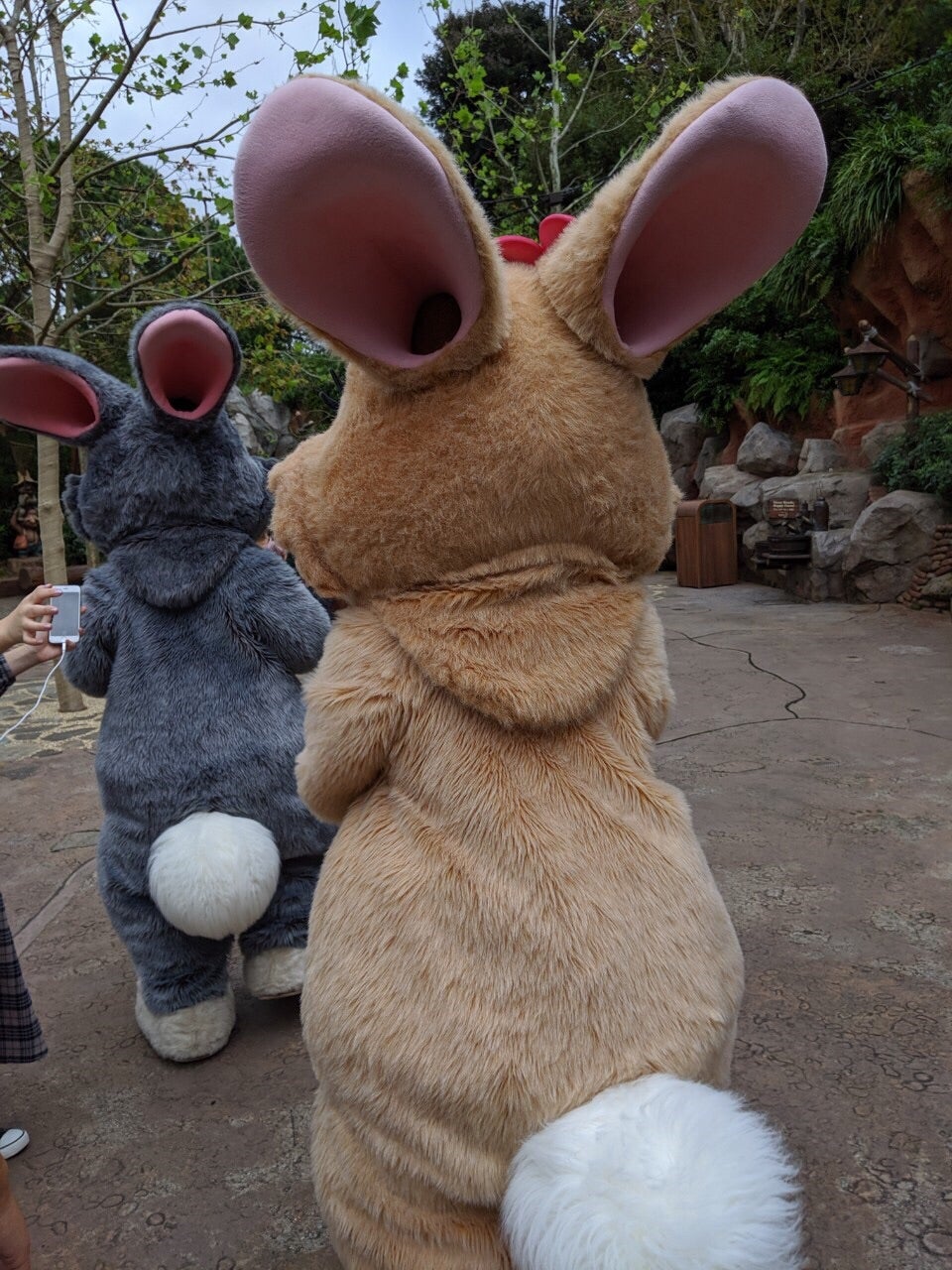 ディズニー