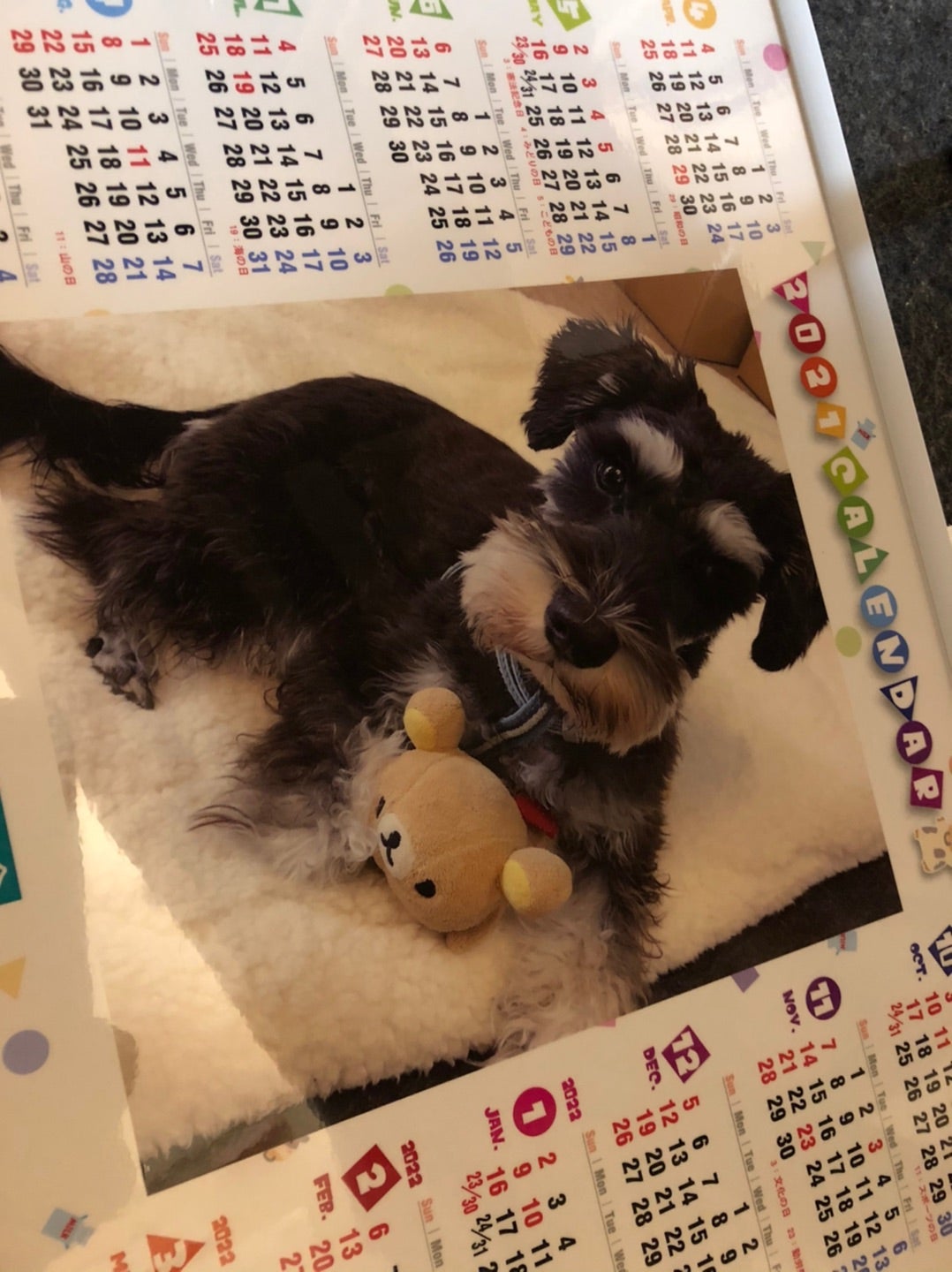 作ってもらいました