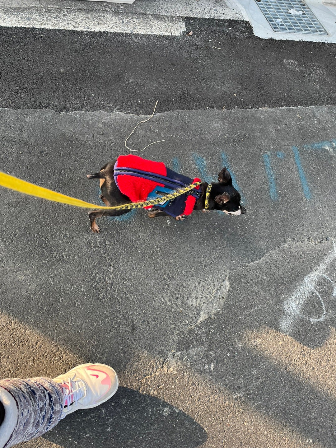 久しぶりの研修