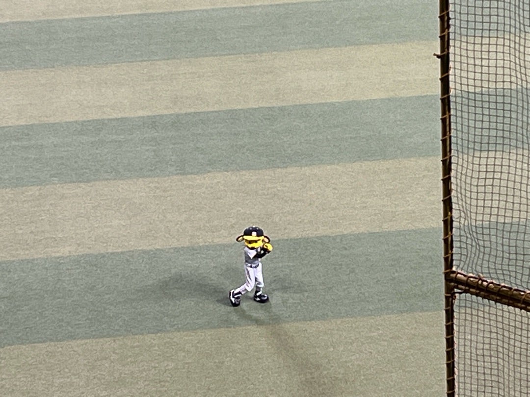 今日も負けちゃいました