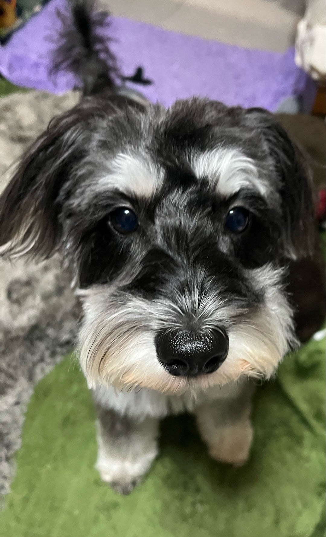 床屋に行ってきた