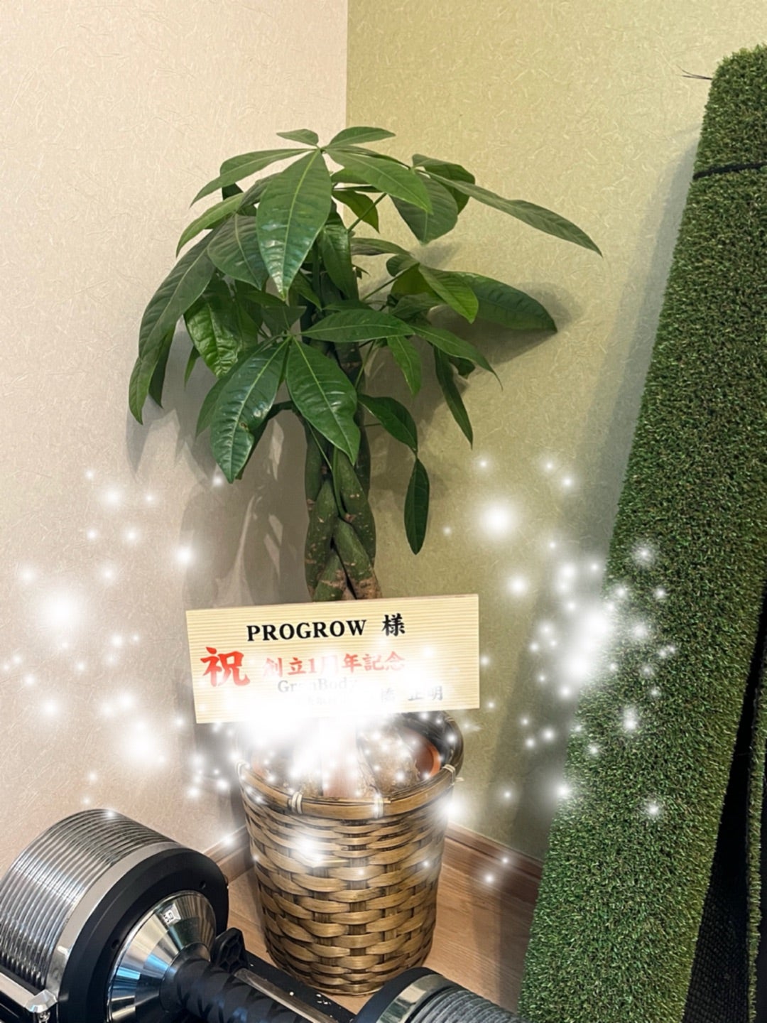 運動して来ました^_^