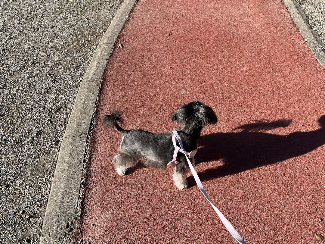 お酒もらったよ