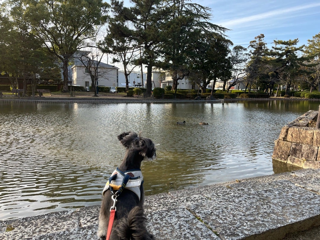 仲良しになりたいまる