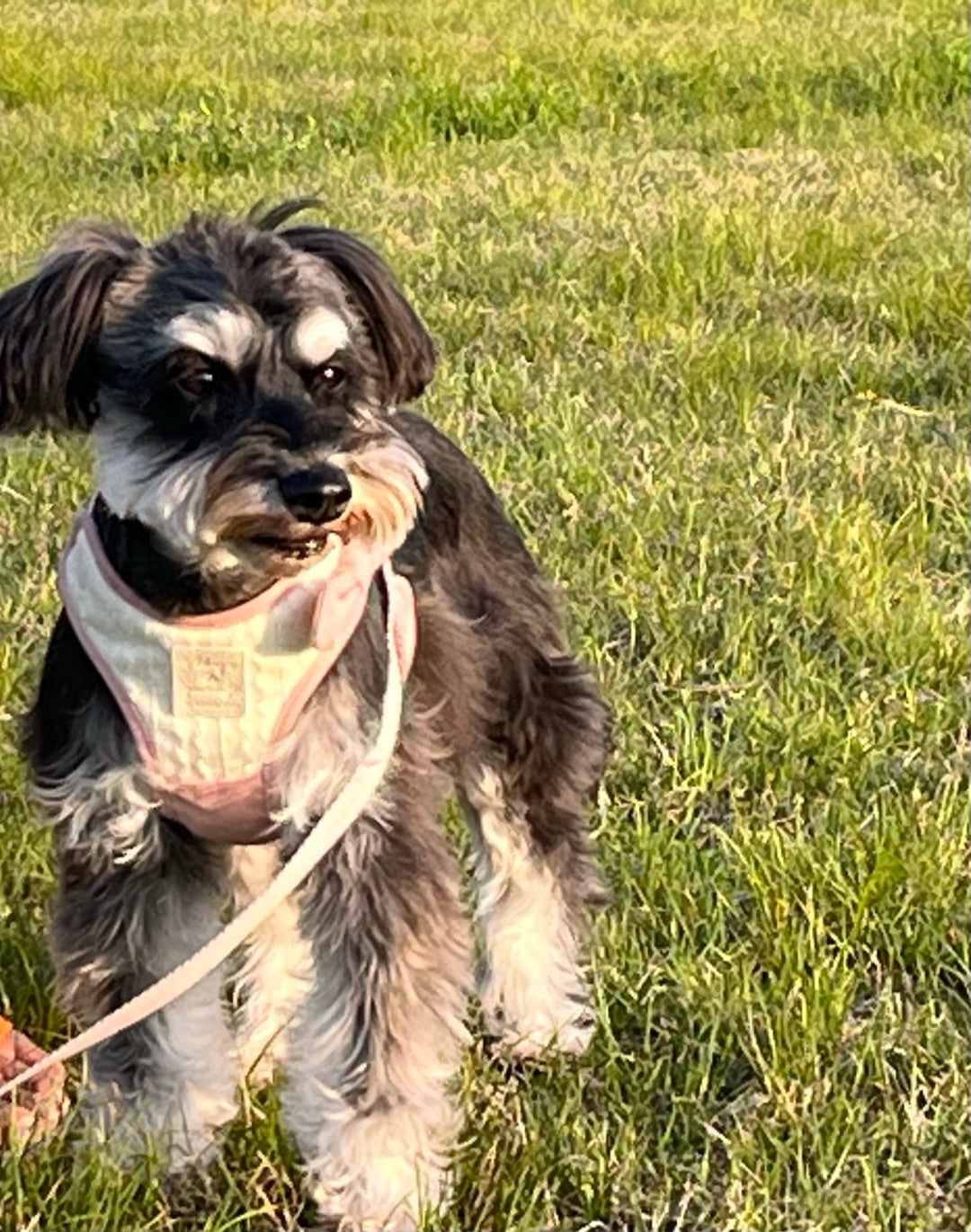 お仕事と、お出かけ