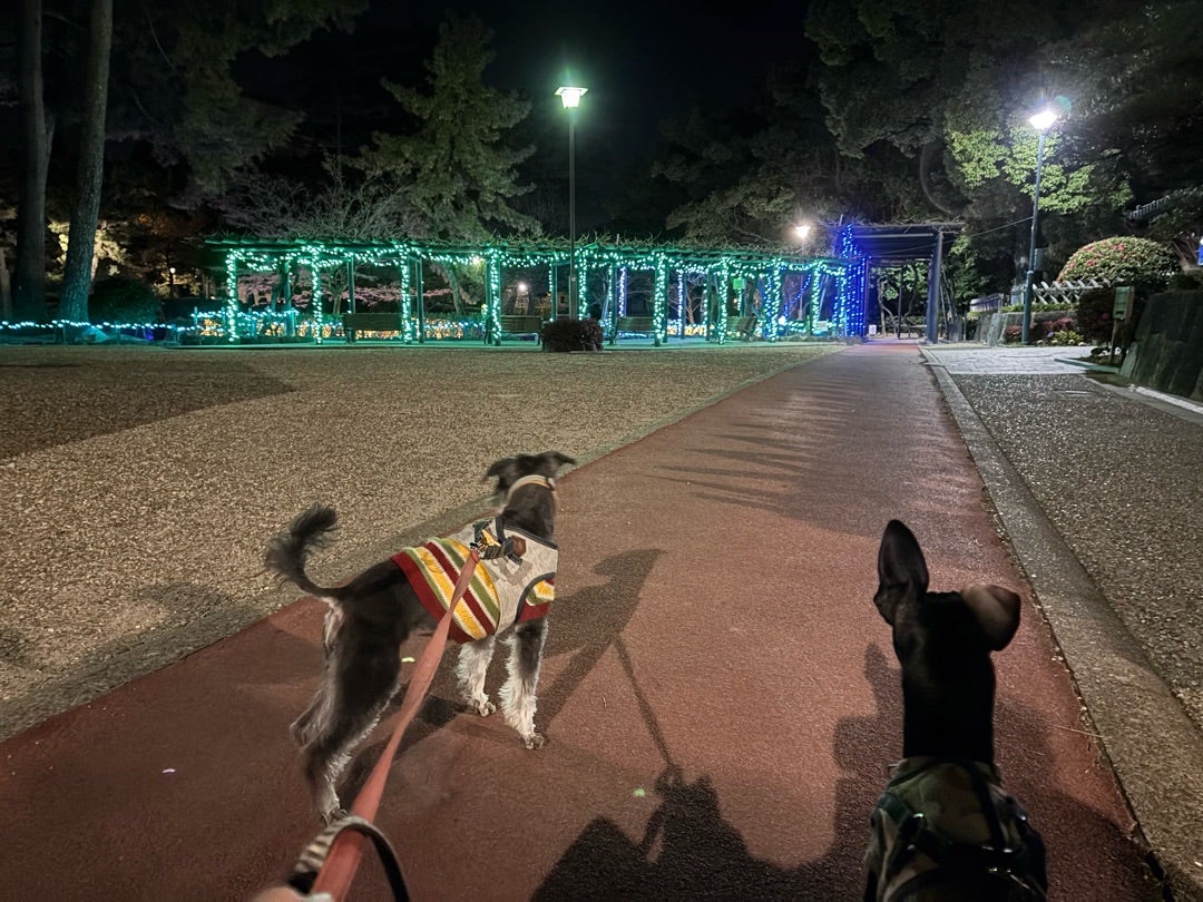 気分パワーアップ