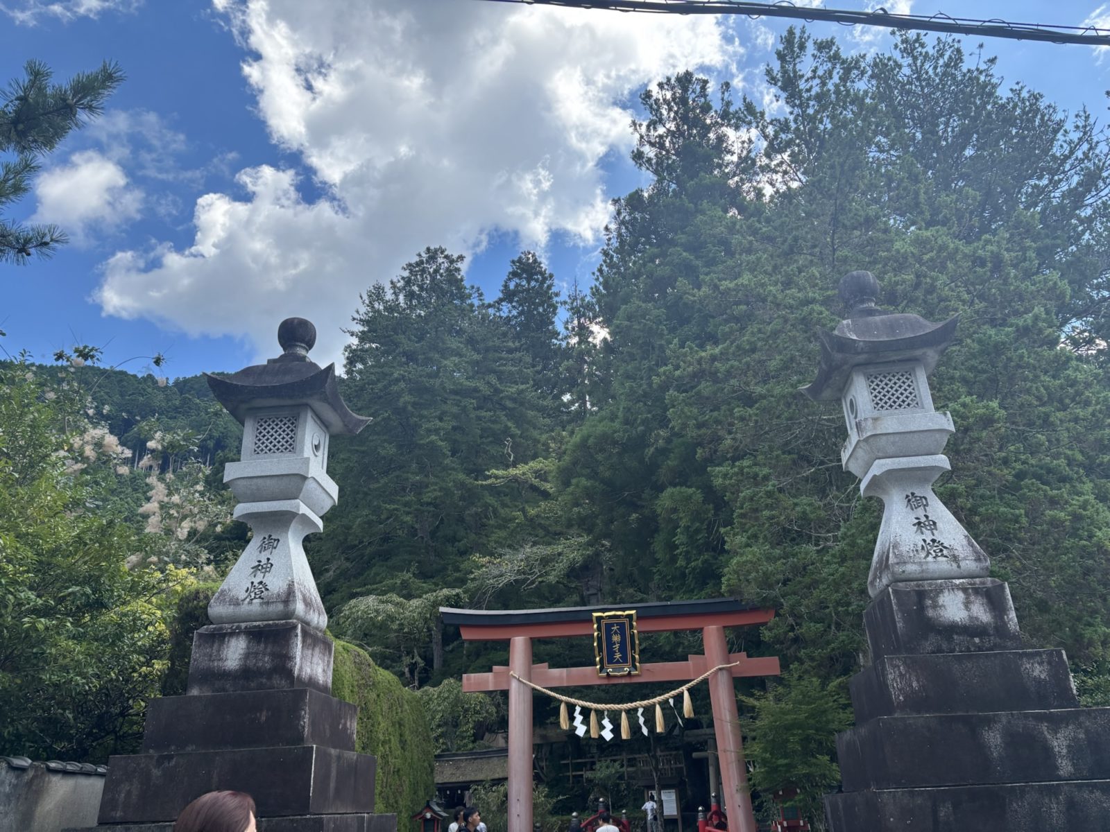 遠かったけと、