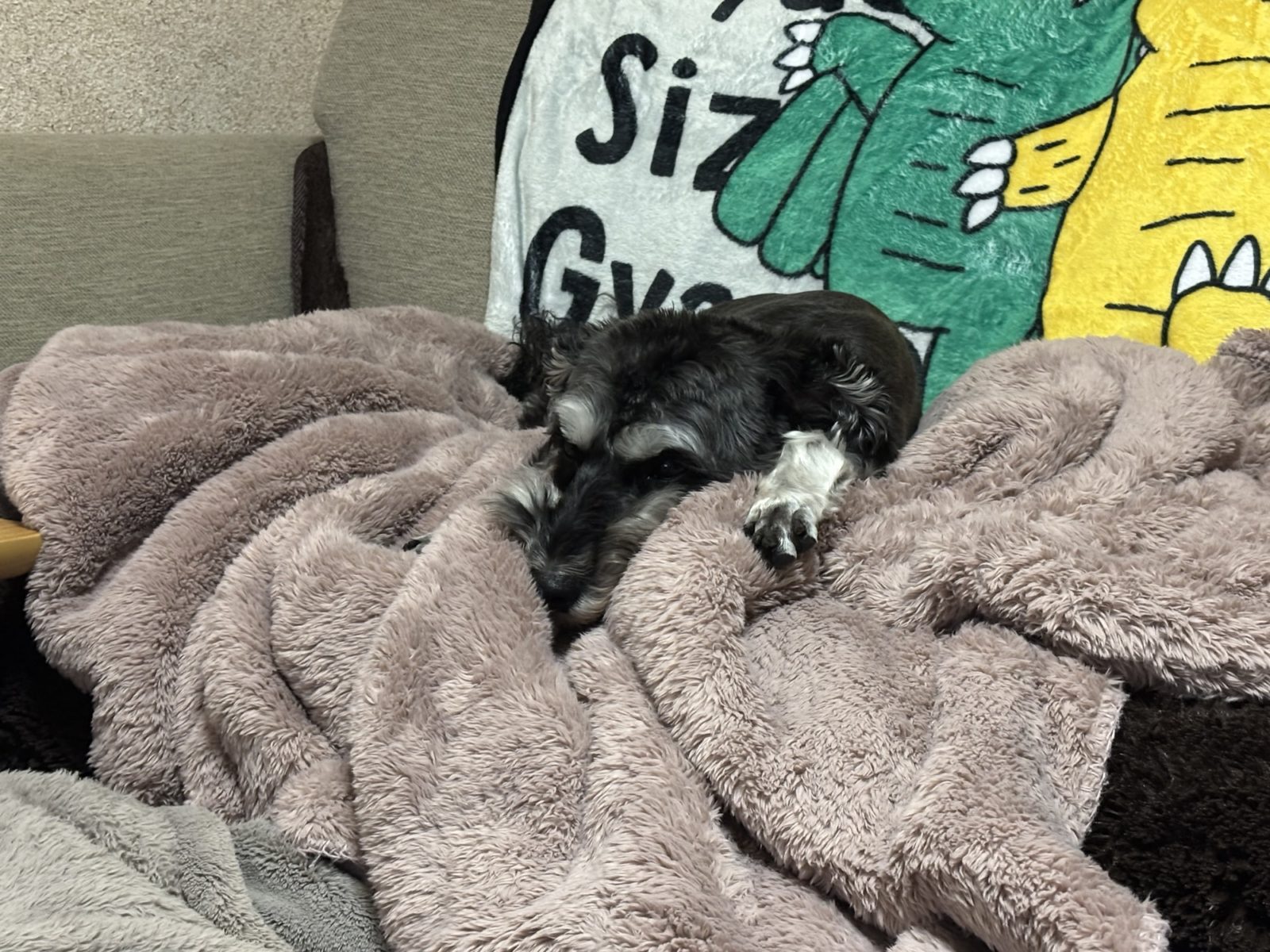 何をみてるのか？？