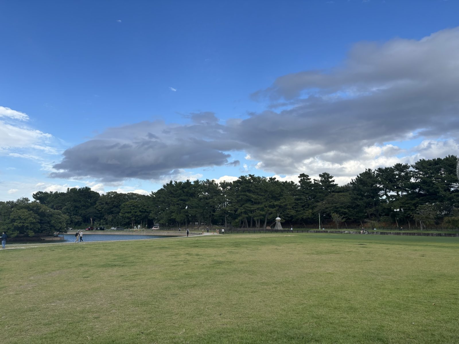 ぼーとしたくて。。