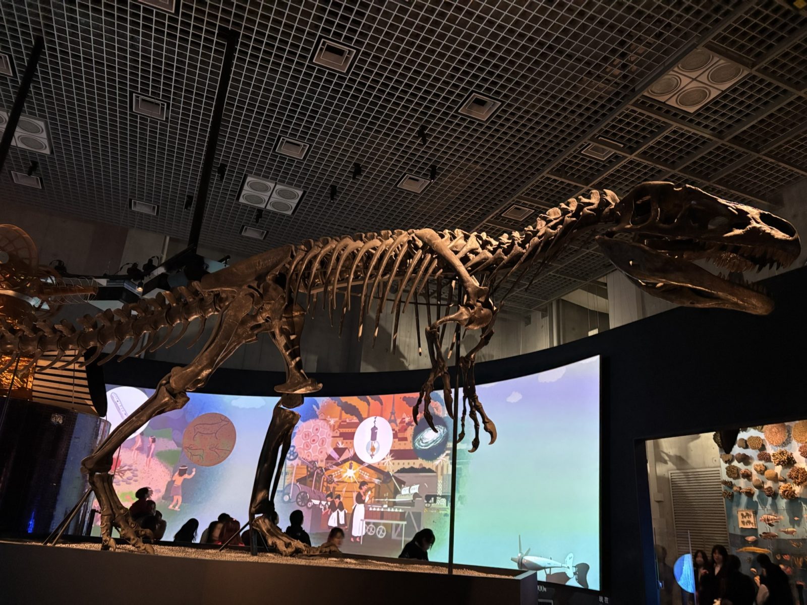 今日は、土砂降りの雨