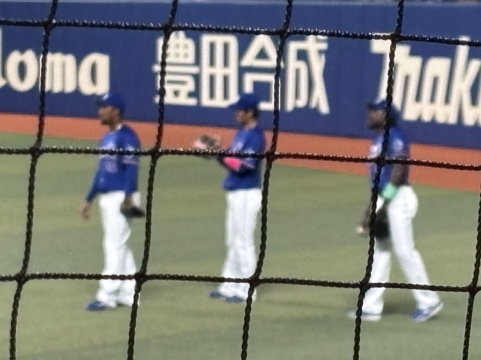 今日は、ここです