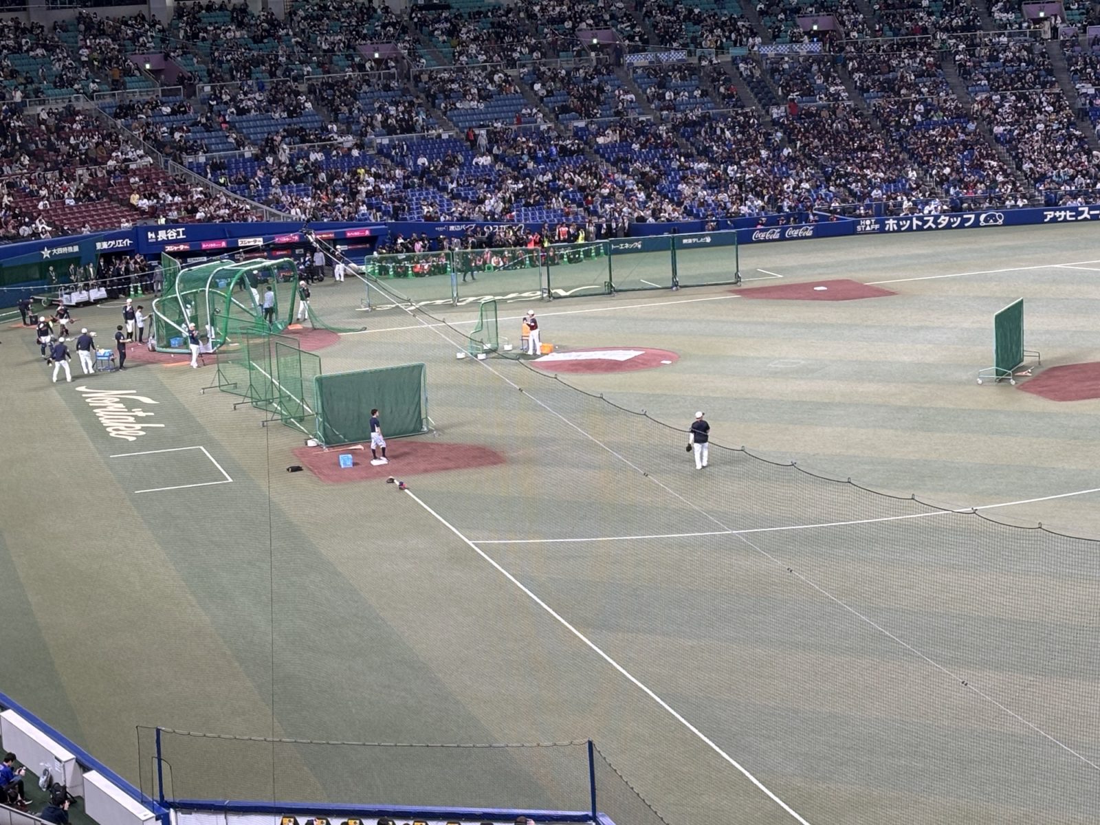 今日は、ここにいます