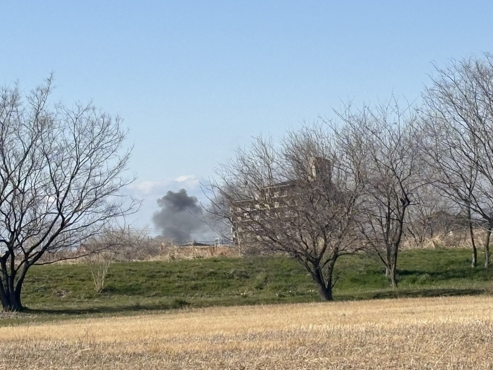 お散歩中に来たんだけど。