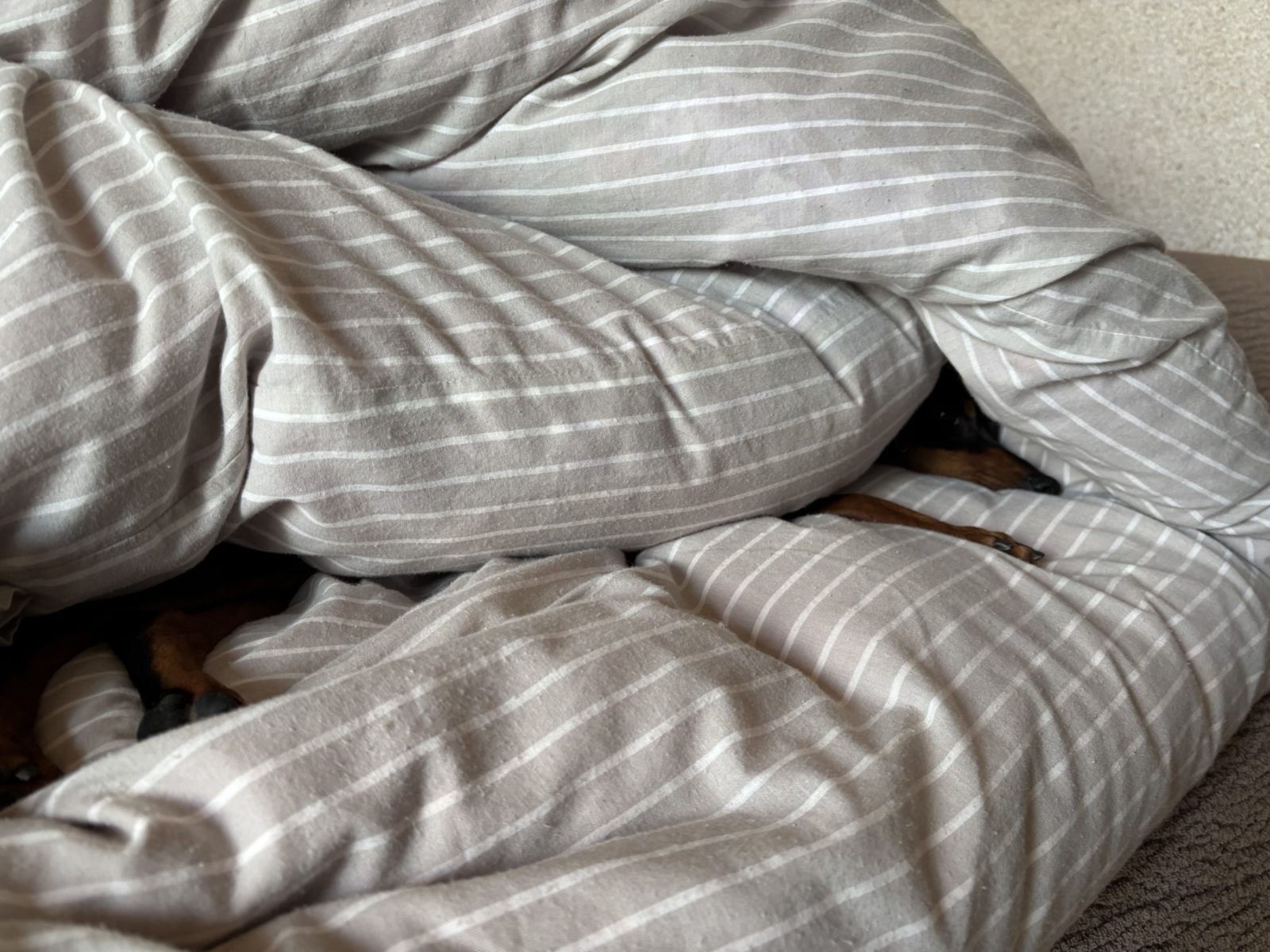 気持ち良いよね